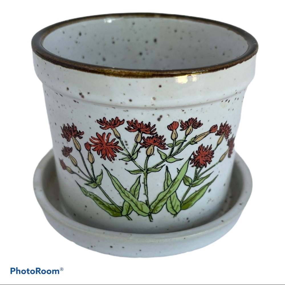 Vintage Succulent Planter